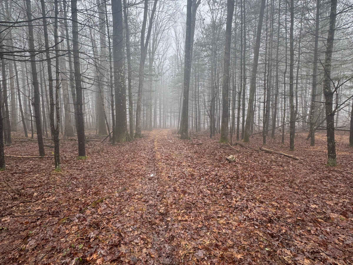 Holland Run Blue Trail photo 3