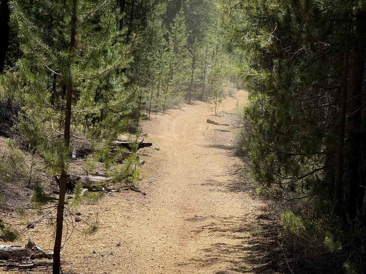 Trail 12  photo 6