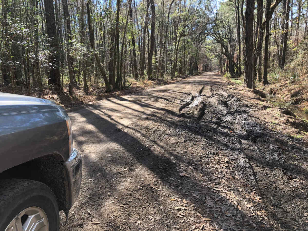South Carolina Adventure Route Segment 1 photo 6