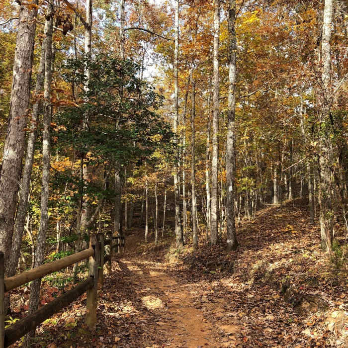 Near Canyon Loop Trail