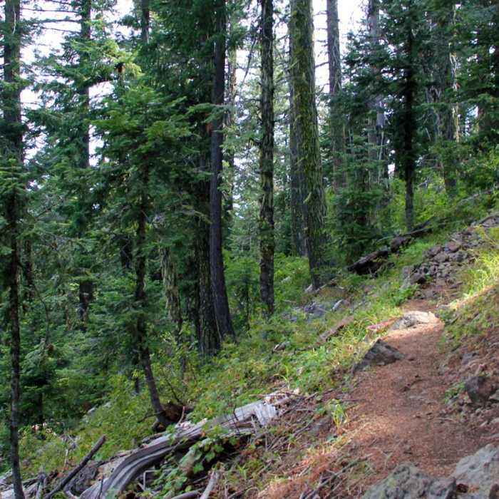 Near Pilot Rock Trail