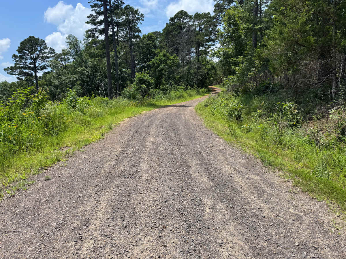 Dry Creek photo 5