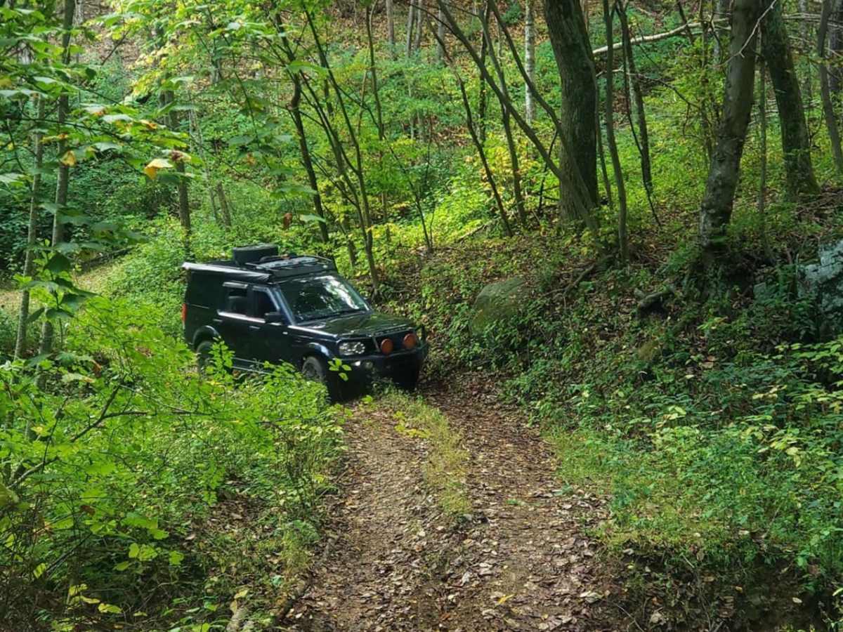 Coon Bridge photo 6