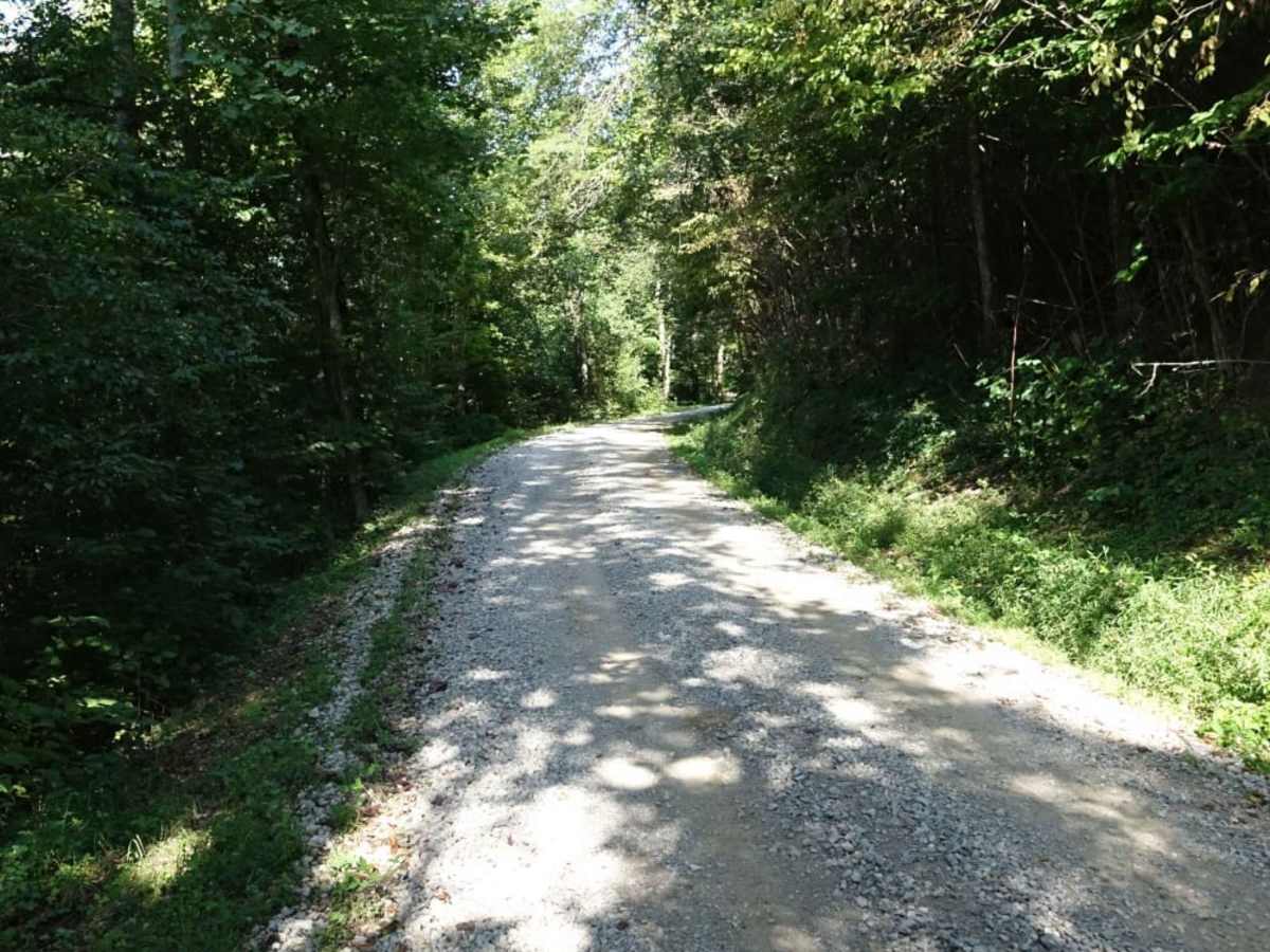 Wolf Knob trail photo