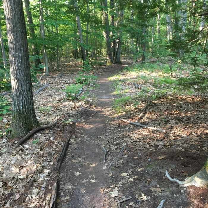 Flat and easy Lower Father and Son Near Perimeter Trail