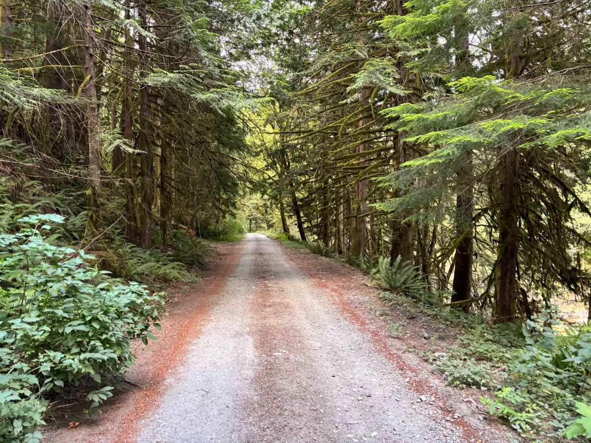 South Tye River Access trail photo