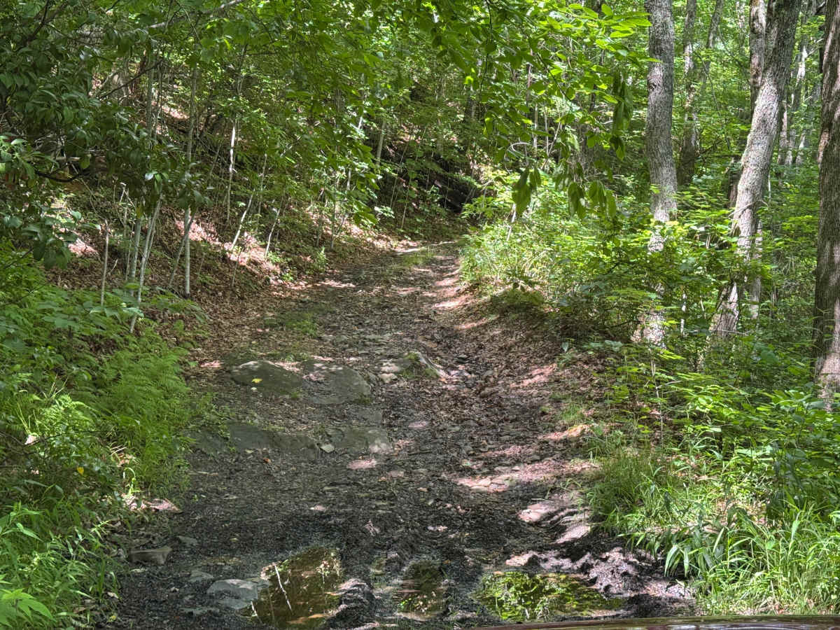 Piney Mountain Flats - FS 4666 (Rough Butt) photo 2