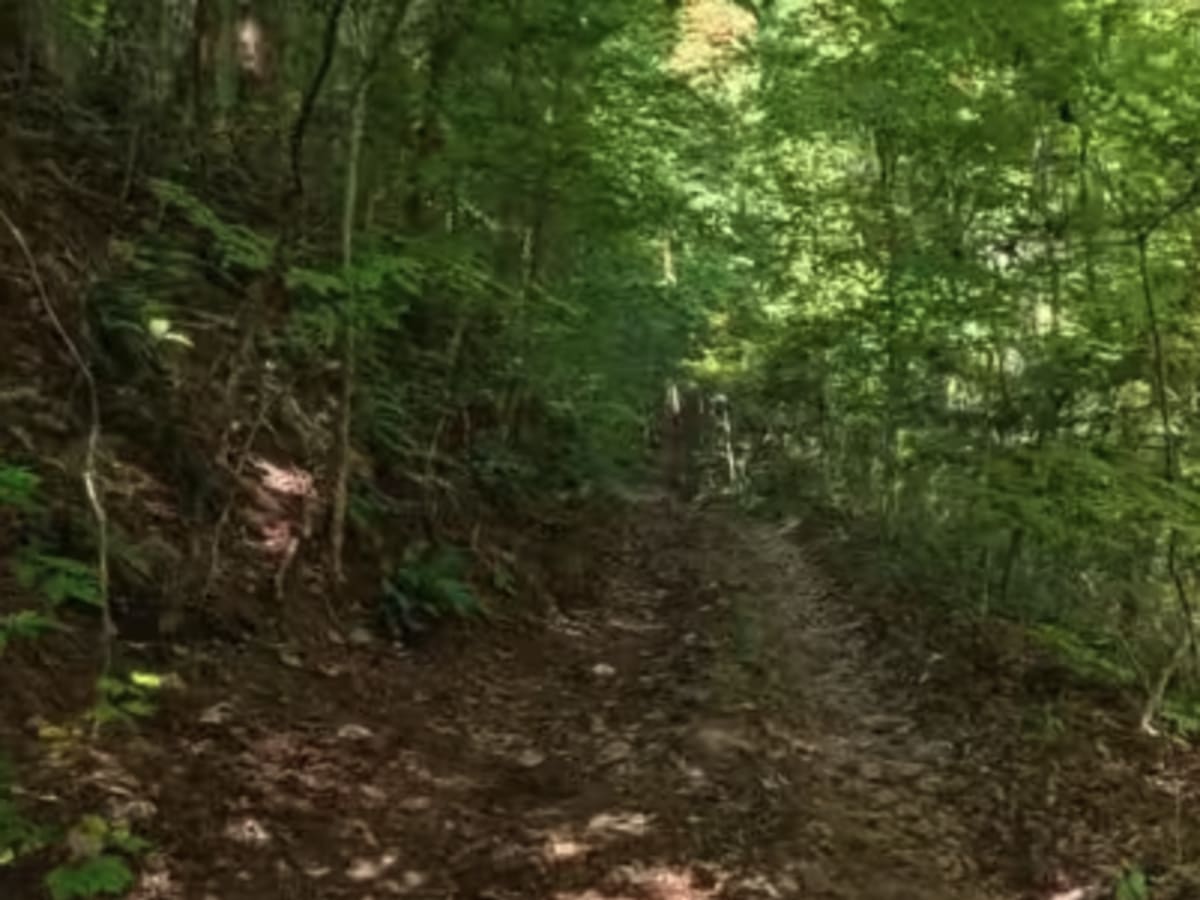 Chester Knob Lower Trail photo 5