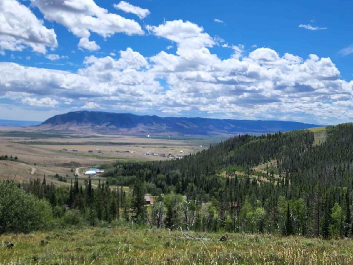 Ehlin Road trail photo