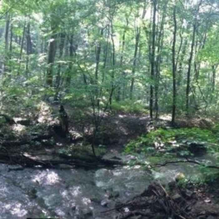 Near Laurel Highlands Trail: Ohiopyle State Park