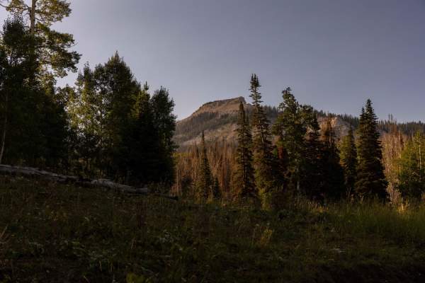Beaver Creek-Clear Creek Road
