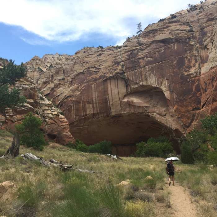 Near Escalante River: Mamie Creek to Boulder Mail Trail