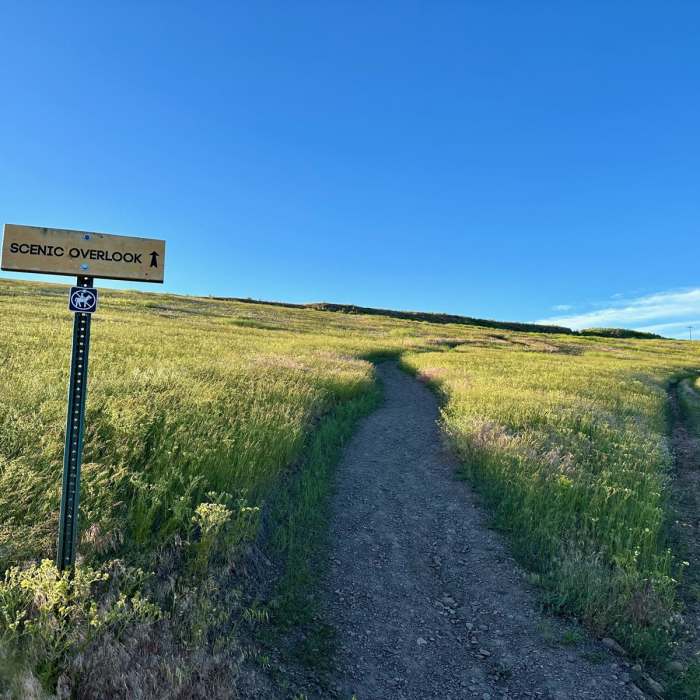 Near Bluebird Preserve Loop