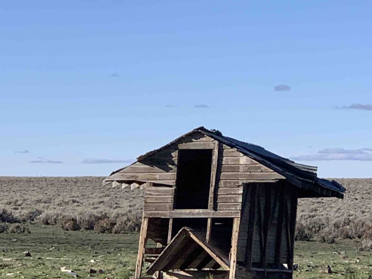 Stock Draw/Old House Loop photo 4