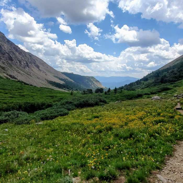 Near Shelf Lake Trail #634