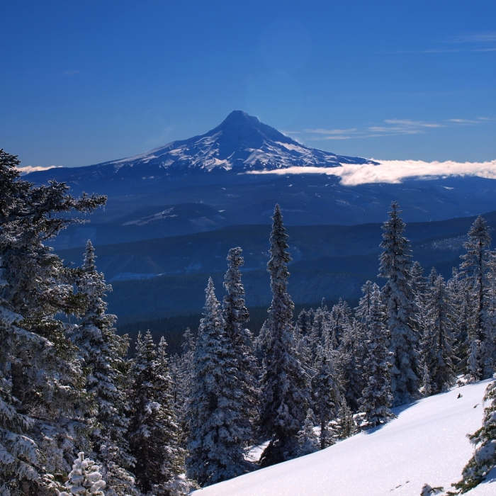 Mount Hood from Mount Defiance in winter Near Mount Hood Summit via South Side/Old Chute