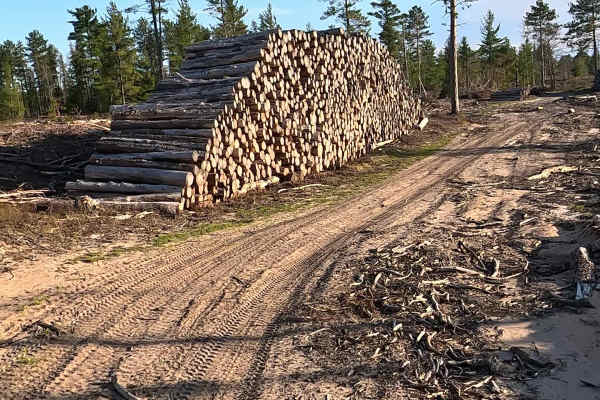 North Wide Water Timber Loop