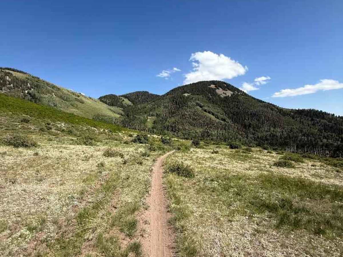 Robertson Pasture Trail No. 020 photo 5