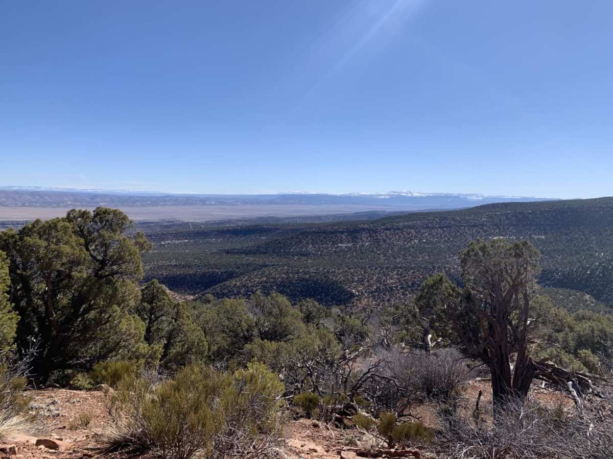 Uranium photo 6