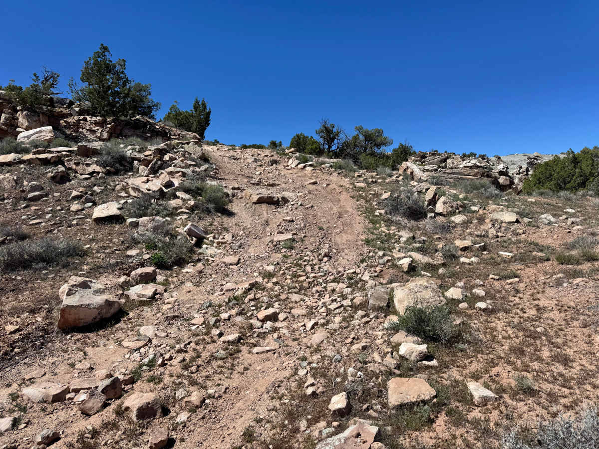 Yellow Jacket Canyon photo 5