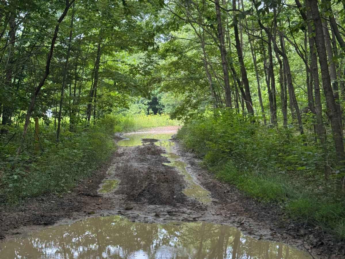 Trail 82 photo 3