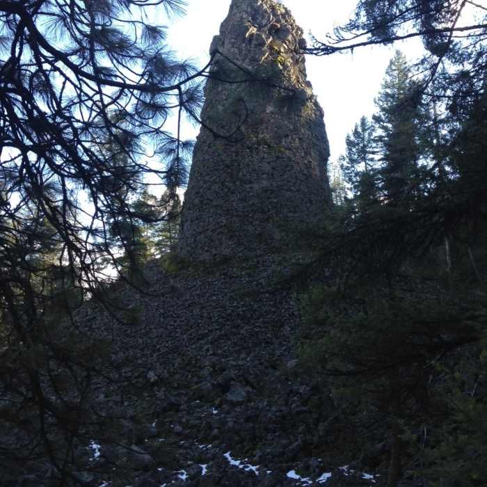 Near Carlson Road Loop