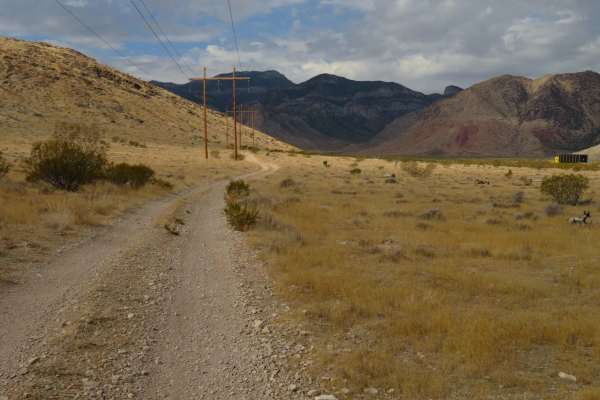 Badger Pass Loop