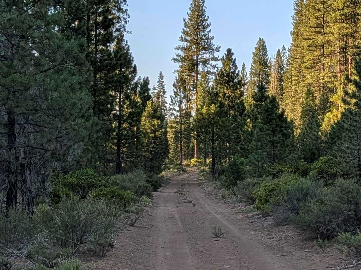 Sandy Rock - FS 40N12X trail photo