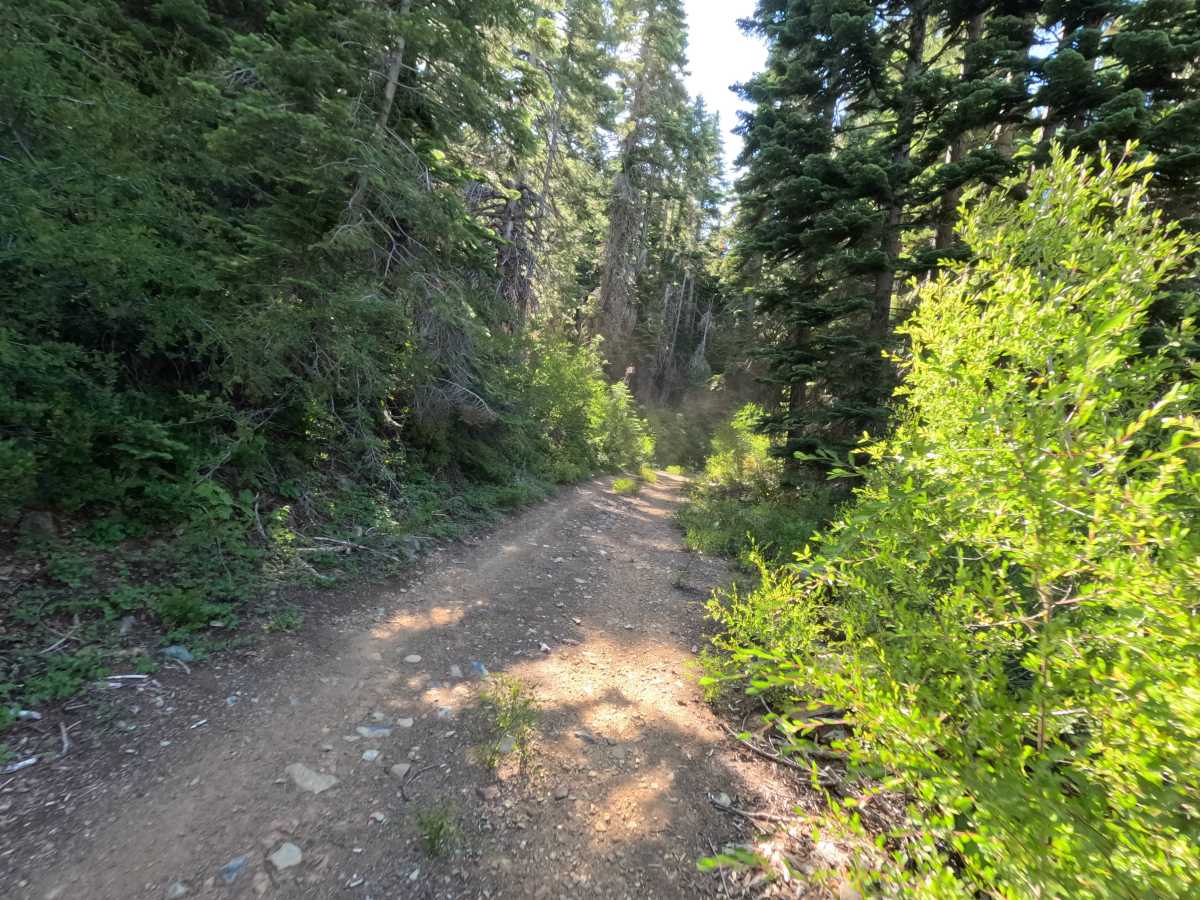 Mohawk Creek - FS 22N42 photo 2
