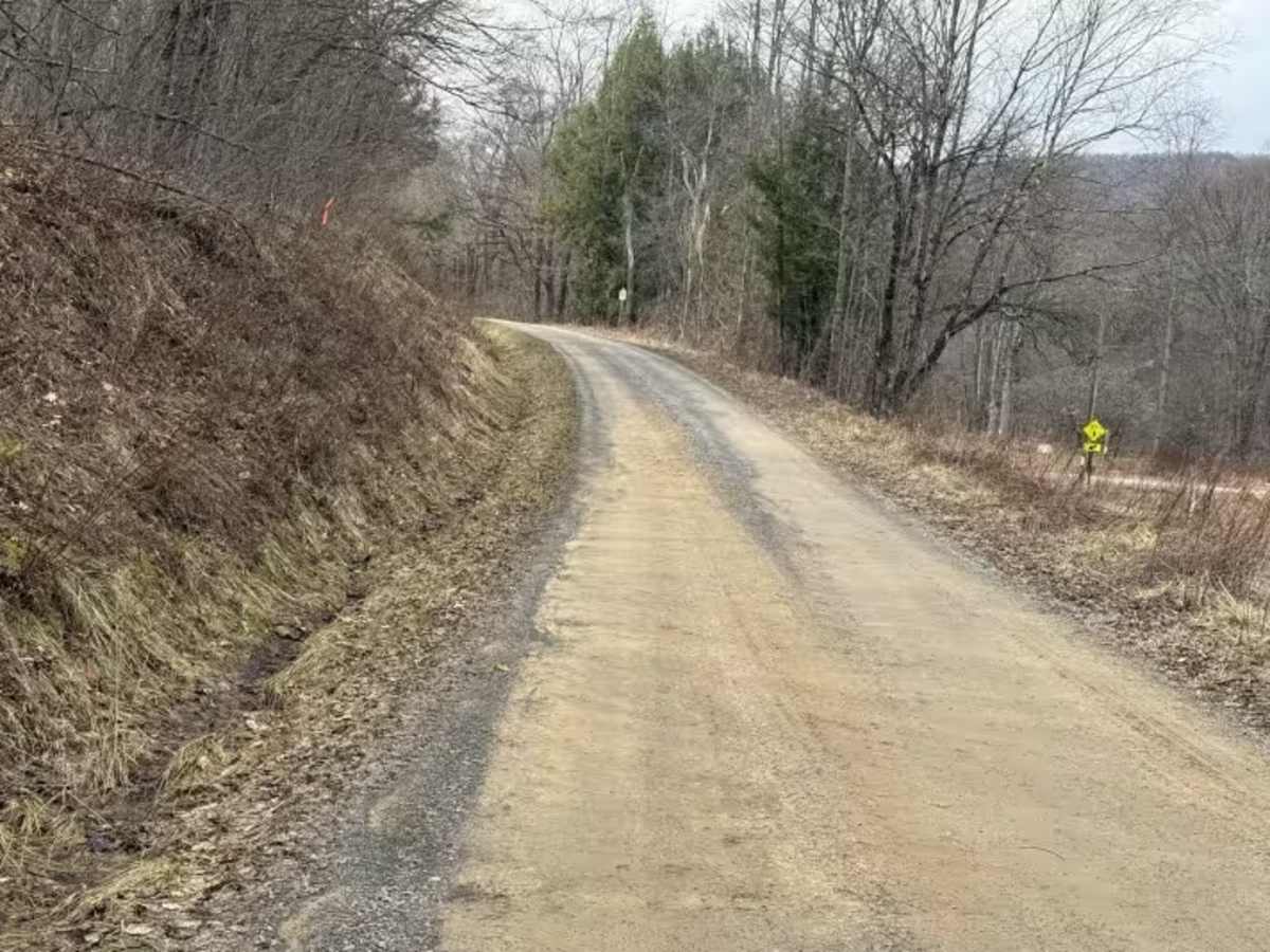 Windfall Run - FS 278.1 trail photo