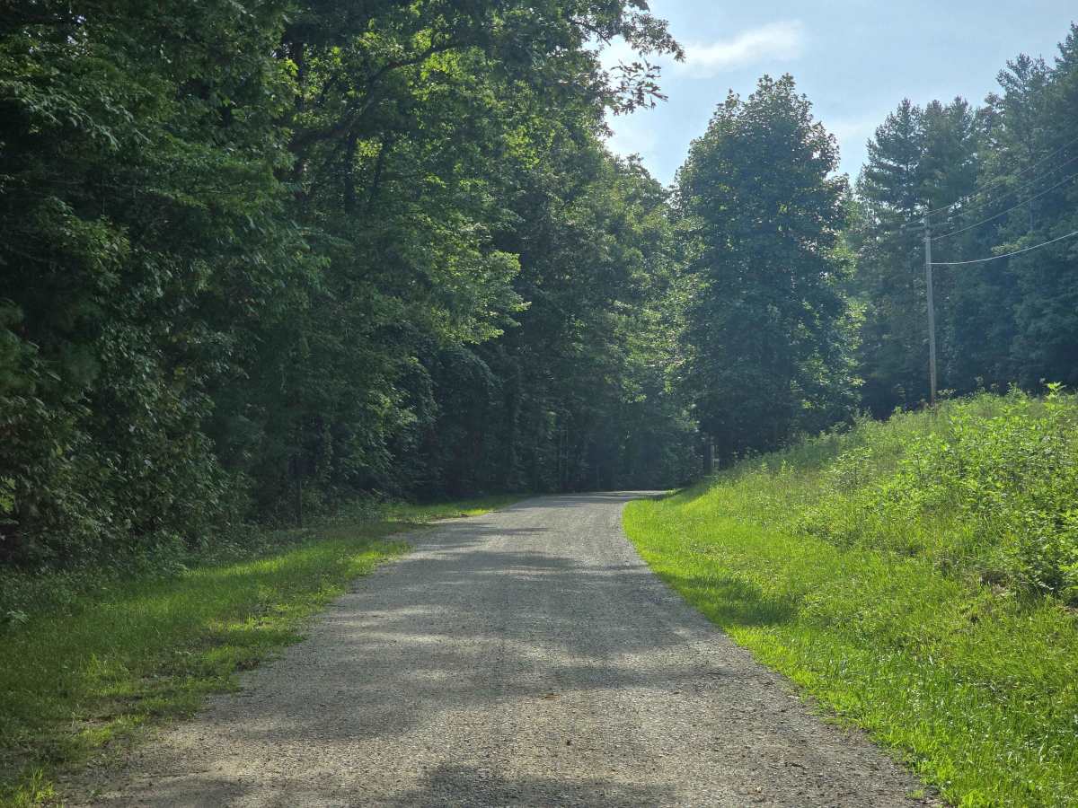 Bandy Creek Road photo 5