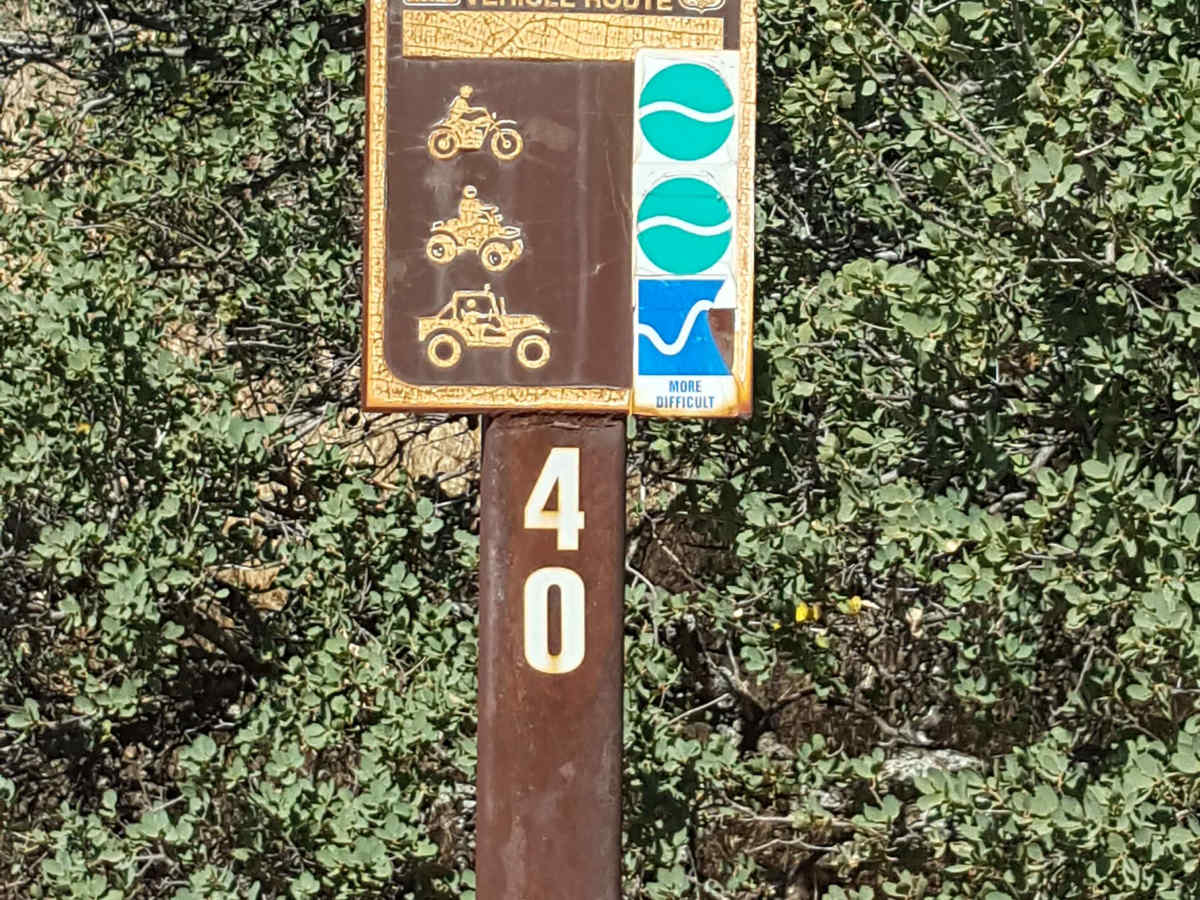Trail 40 trail photo