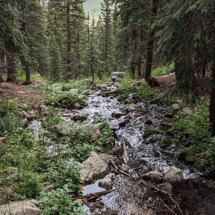 Near Nambe Lake Trail