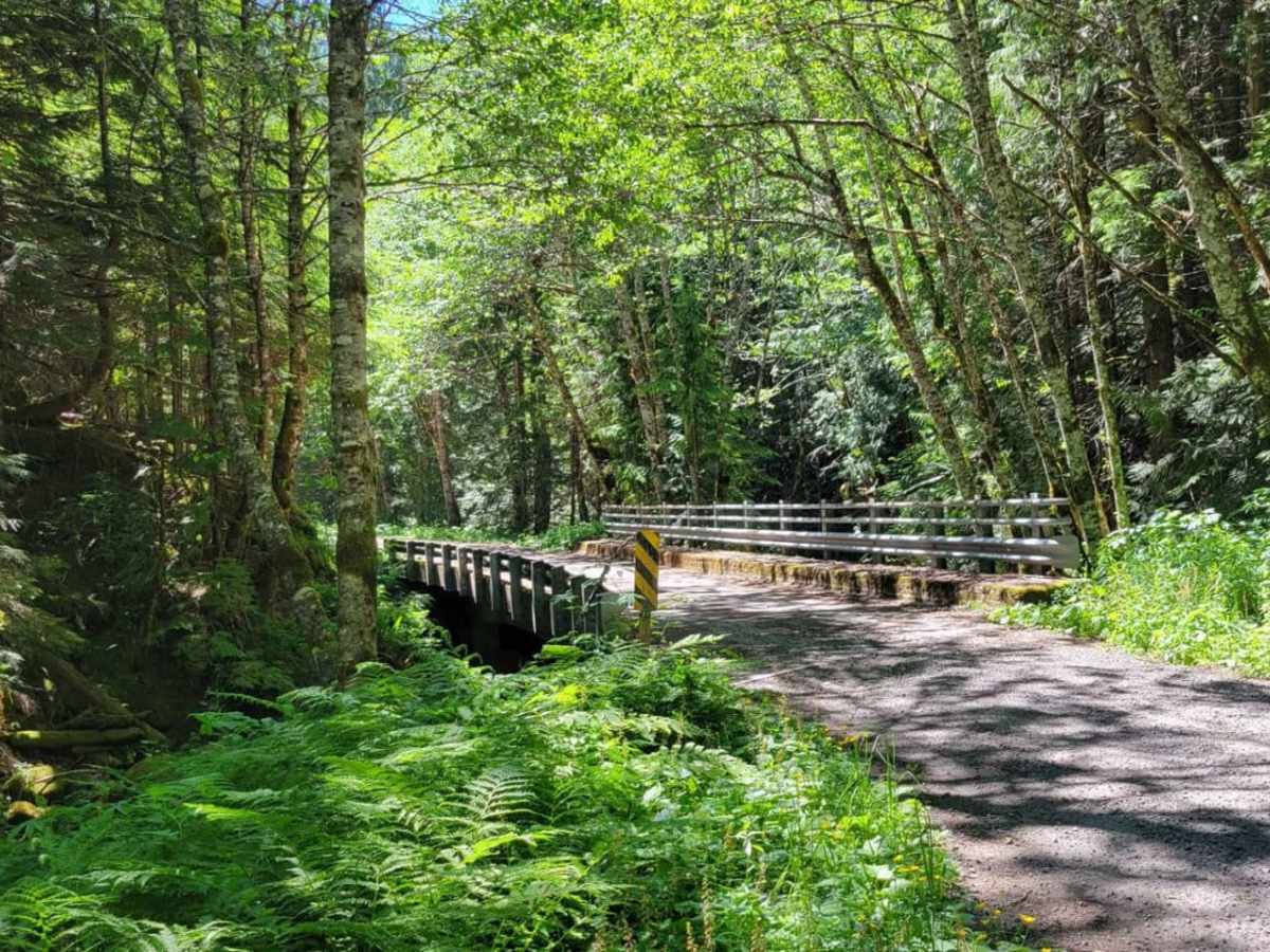 Still Creek Road photo 5