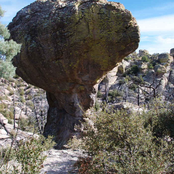Near Chiricahua Canyon Big Loop