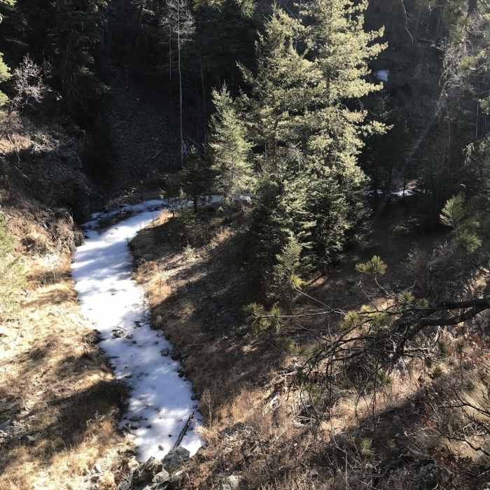 Near Big Bonito Trail #T36
