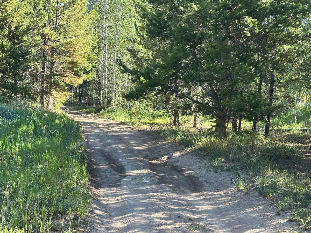 Kinney Creek Road photo 4