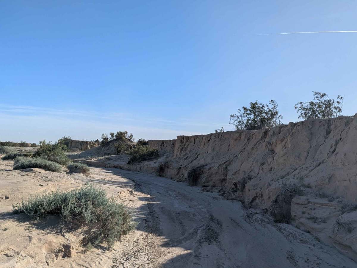 BLM 331 trail photo