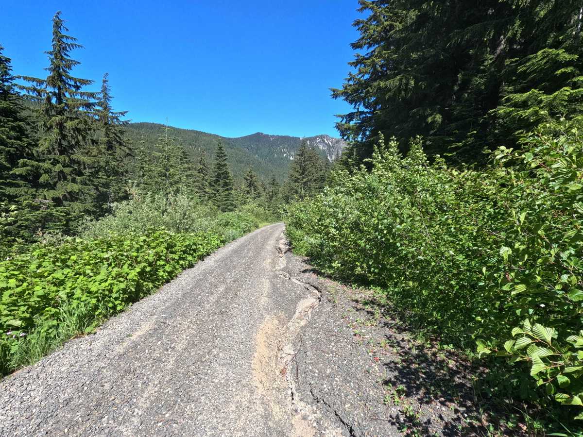 Thorp Creek - FS 4312 photo 3