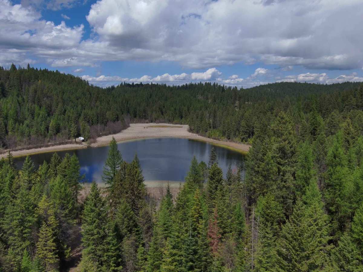 Rigley Lake photo 2