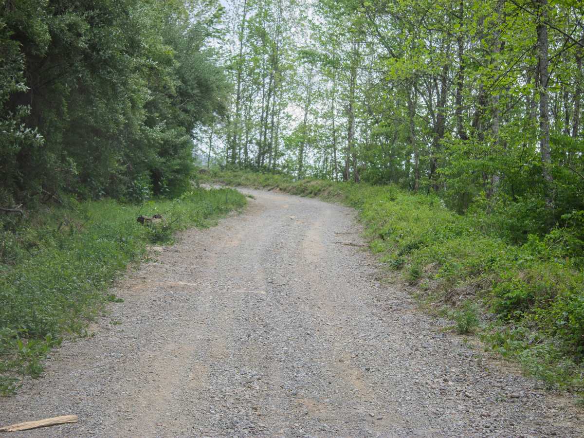 Red Oak Mountain Road photo 3