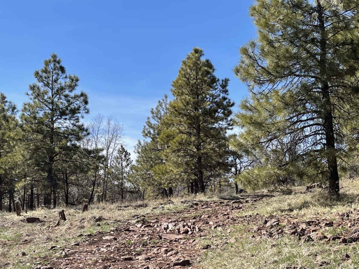Rocky Ridge photo 6