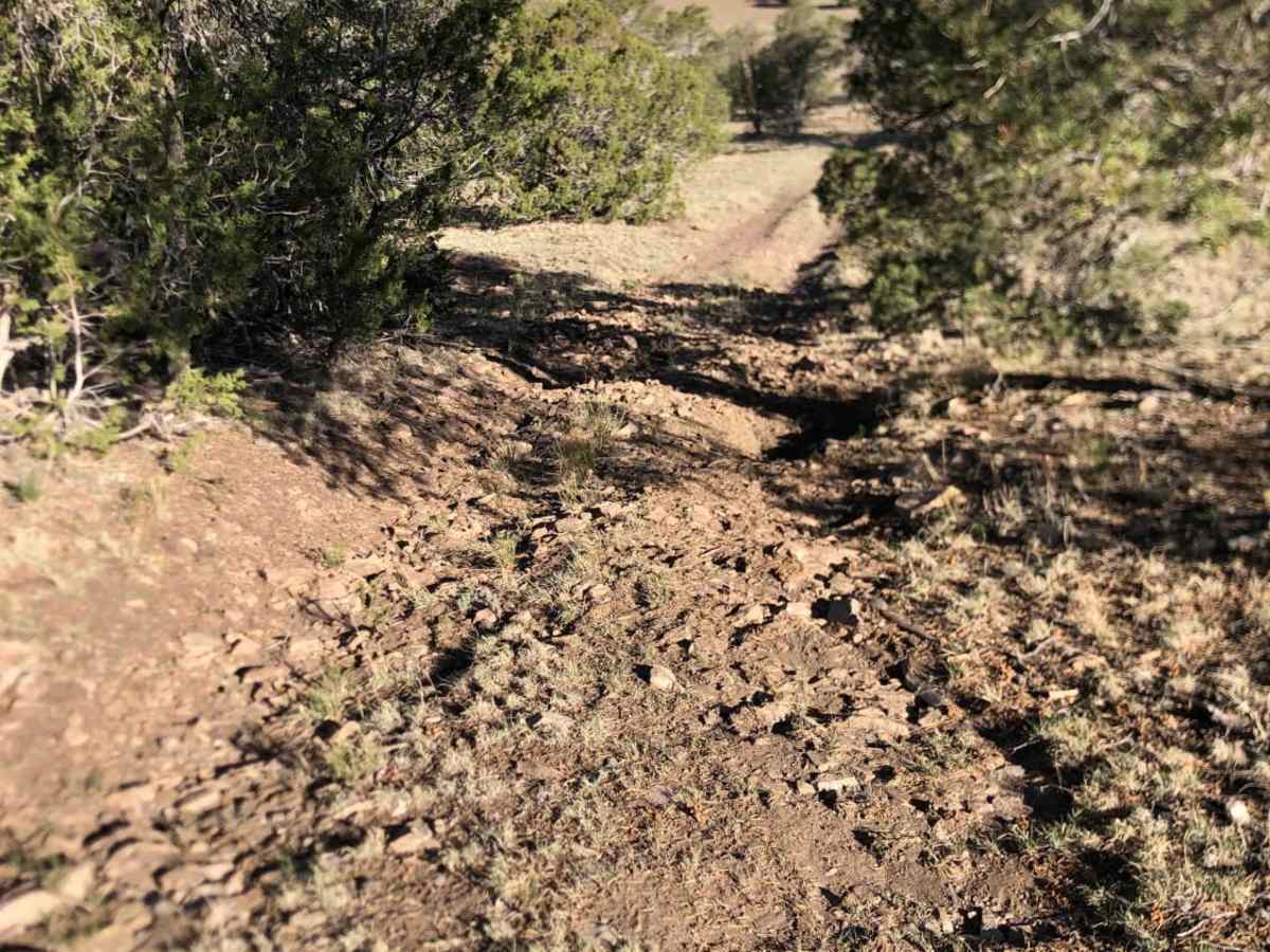Granger trail photo