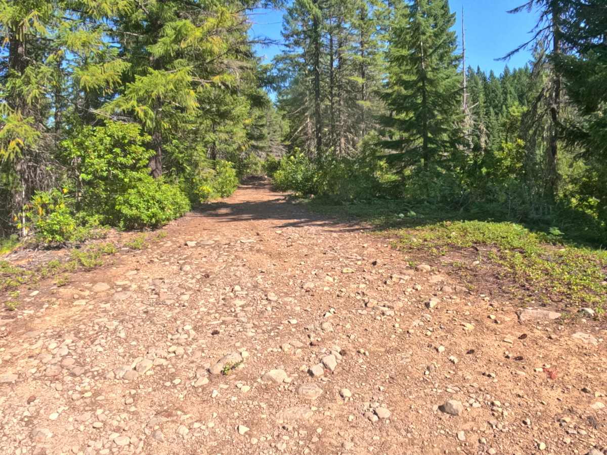 Presley Lake Turnoff - FS 2257516 photo 2