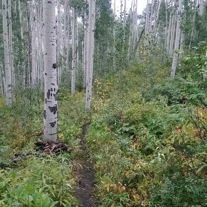 Near Vail Trail