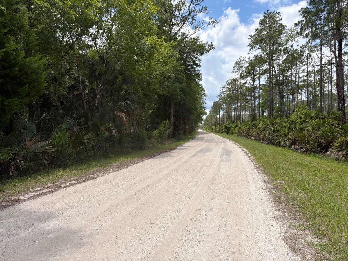 Volusia Bar Road photo 6