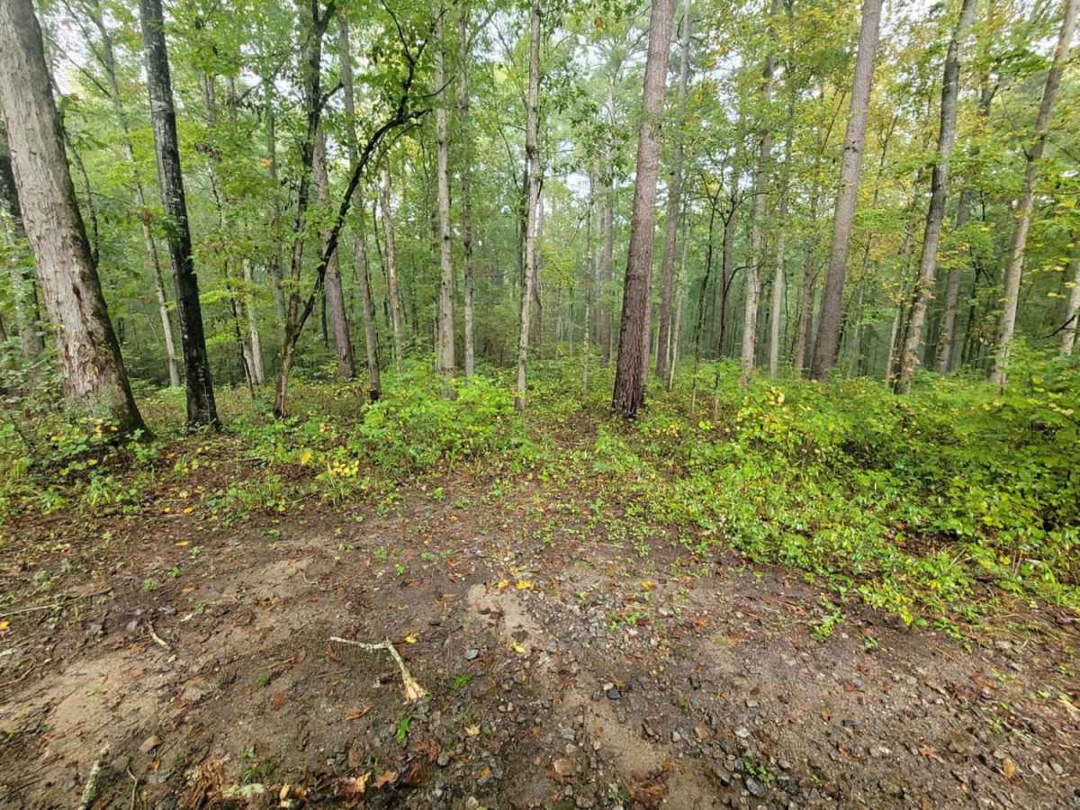 Turner Trail trail photo