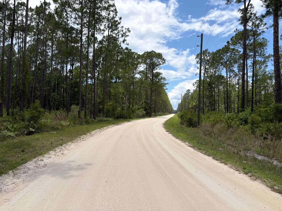 Petersen Road photo 3