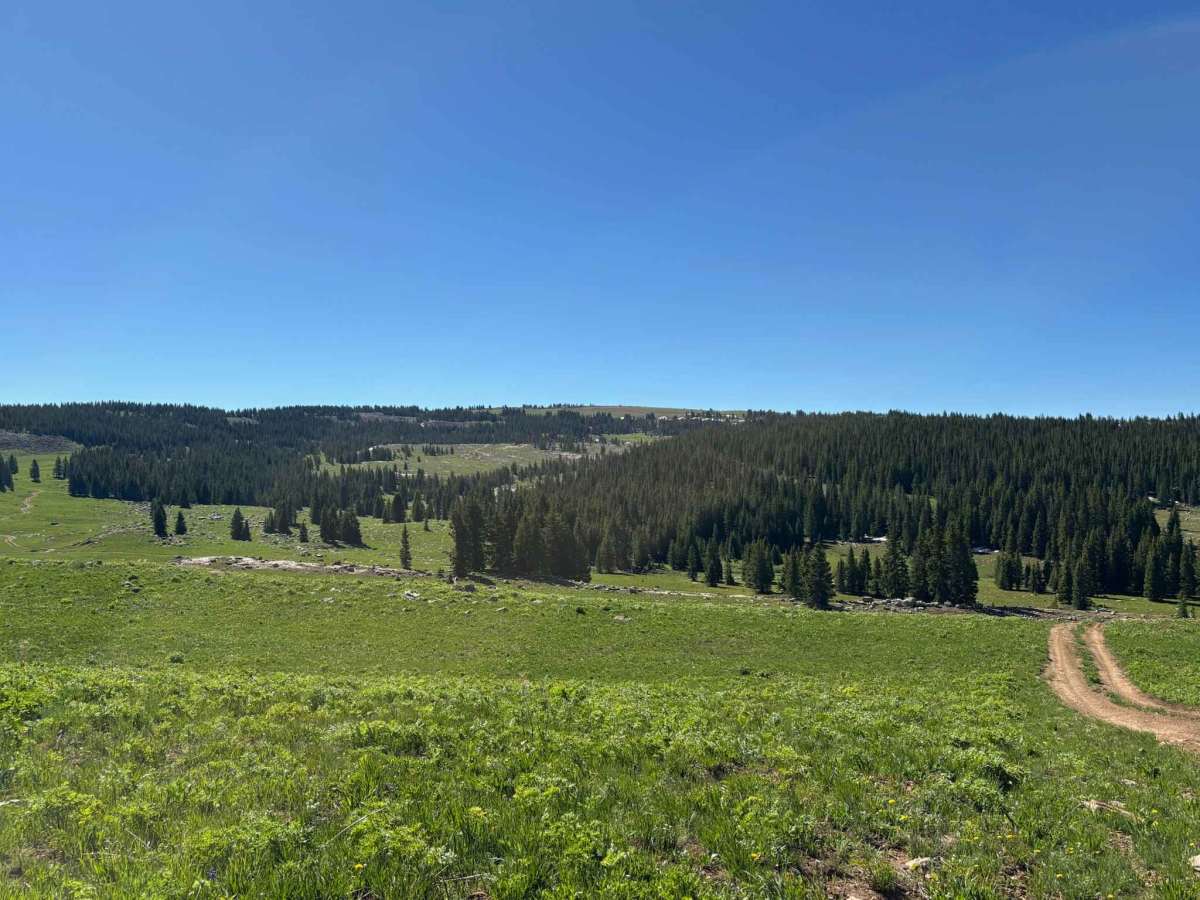 Cow Lake Road photo 3