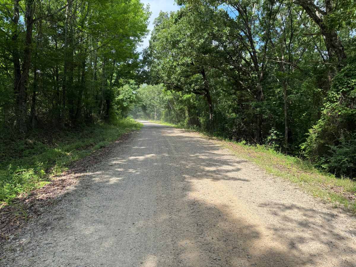 County Road 3880 photo 4